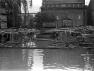 a_29