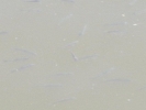 a_38