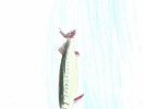 a_23