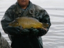 Výlovy