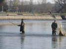 Koupaliště