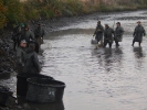 ROK 2013
