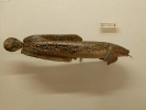 a_34